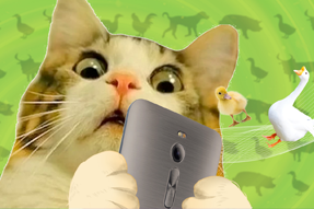 FRIDAY专栏 | 被憋疯的职场人，养起了猪牛羊鱼鸟...