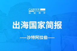 AG公司GO GLOBAL | 沙特阿拉伯国家简报